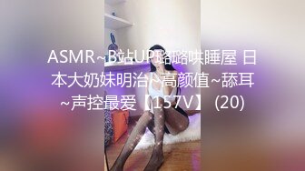 扶摇小姐姐