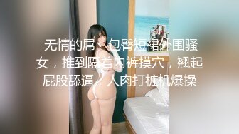 脱衣麻雀NTR 仆の留守中、爱する妻が身ぐるみを剥がされ轮奸された一部始终。