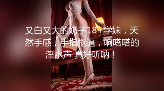   半糖小姨子张美人，冷艳美人，两炮艹爽小姨子，无套爆，淫荡至极！