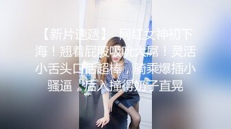 小母狗很听话