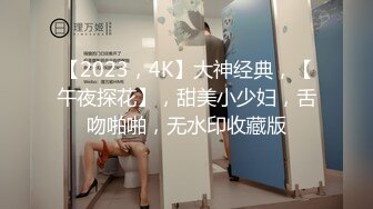 【2023，4K】大神经典，【午夜探花】，甜美小少妇，舌吻啪啪，无水印收藏版