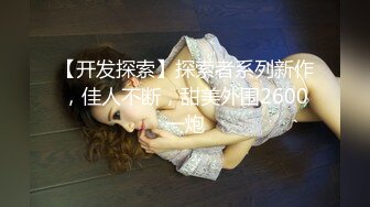 【开发探索】探索者系列新作，佳人不断，甜美外围2600一炮