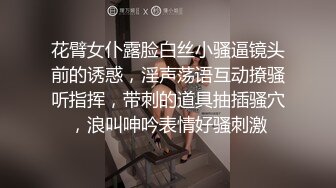 P站⭐ Anna Sibster ⭐视频合集，国产收割机推荐 —— P站第九弹【62V】 (25)