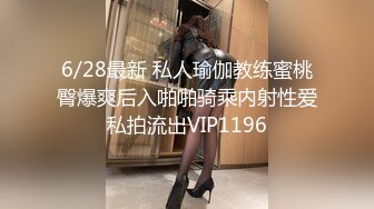 【小瑶幺幺】痴女属性拉满高颜值萝莉E奶母狗，硅胶大jb自慰，粉奶粉穴，白虎一线天，淫叫5V (1)