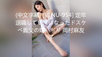 泥酔させれば楽勝セックス～叔母と従姉編