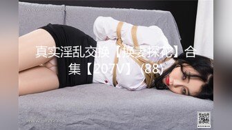 【自制字幕系列】第26弹 探花剪辑版6部，长达个把小时的探花剪辑成两分钟左右的剧情