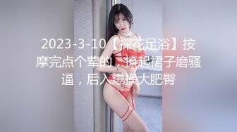 CB站极品美女Baananaswett【83V】 (75)