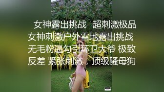 抗拒者系列之初入地牢,各种刑具伺候