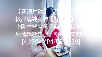 [高清中文字幕] HND-673小太妹麻里梨夏化身文學系痴女到處勾引別人的男朋友