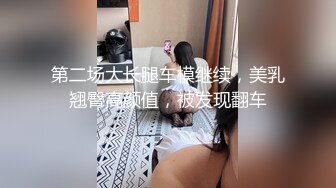 第二场大长腿车模继续，美乳翘臀高颜值，被发现翻车