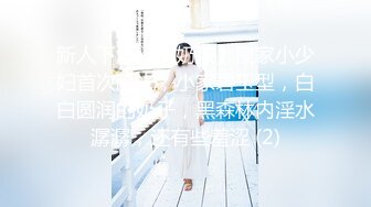 元旦干少妇