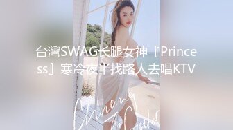 台灣SWAG长腿女神『Princess』寒冷夜半找路人去唱KTV