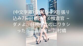 (中文字幕) [PRED-290] 張り込み7日目の汗だく捜査官 ～ダメよ、任務中なのにワタシったら…真夏編～ 川村晴