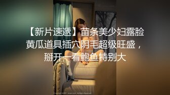 无套爆操蜂腰肥臀母狗