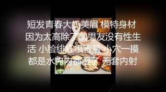 魔鬼身材的大学美女，吃鸡巴舔蛋蛋，丝袜没脱就干了进去