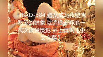 HBAD-384 繼女成為我發洩慾望的對象 就這樣安靜地一次次被我侵犯 井上真帆【中文字幕】