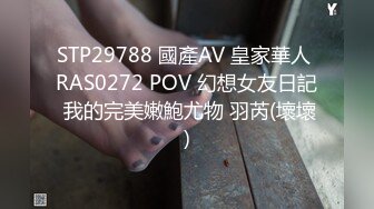 STP29788 國產AV 皇家華人 RAS0272 POV 幻想女友日記 我的完美嫩鮑尤物 羽芮(壞壞)