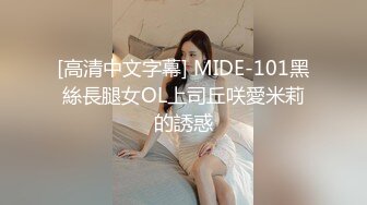 [高清中文字幕] MIDE-101黑絲長腿女OL上司丘咲愛米莉的誘惑