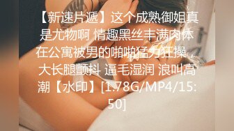 尝试新玩具，给小狗戴上了狗链