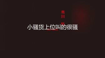 【原创国产精选】少妇兼职艹的她哇哇叫，她说她老公都没有这么猛