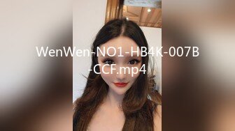 WenWen-NO1-HB4K-007B-CCF.mp4