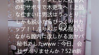 爆乳社长秘书はバイブ持参で通勤中！キチンとした社会人の初サボりで木更津へ！上品な伫まいに男达はうっとり…しかも脱いだらびっくりHカップ！！ぶりんぶりん揺らしながら膣内に欲しがる激ヤバ秘书でしたwww：今日、会社サボりませんか？52in新宿