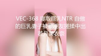 VEC-368 寝取巨乳NTR 自傲的巨乳妻子被我朋友搓揉中出 若月美衣奈