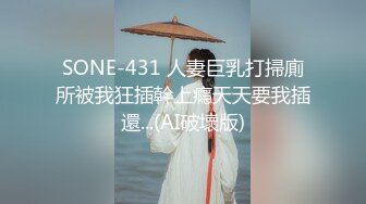 SONE-431 人妻巨乳打掃廁所被我狂插幹上癮天天要我插還...(AI破壞版)