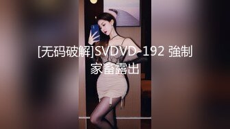 [无码破解]SVDVD-192 強制家畜露出