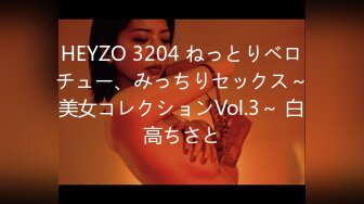 HEYZO 3204 ねっとりベロチュー、みっちりセックス～美女コレクションVol.3～ 白高ちさと