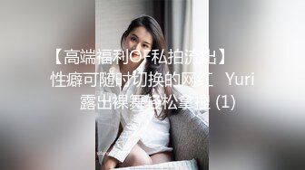 美丽的老婆