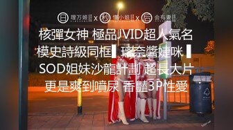 2/6最新 民宿老板娘惨遭客人侵犯下面毛多性欲强典型的闷骚逼VIP1196