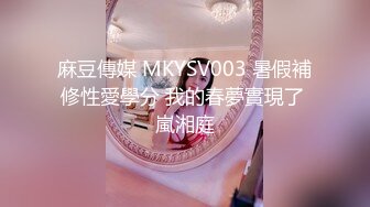 麻豆傳媒 MKYSV003 暑假補修性愛學分 我的春夢實現了 嵐湘庭