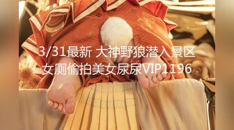 3/31最新 大神野狼潜入景区女厕偷拍美女尿尿VIP1196